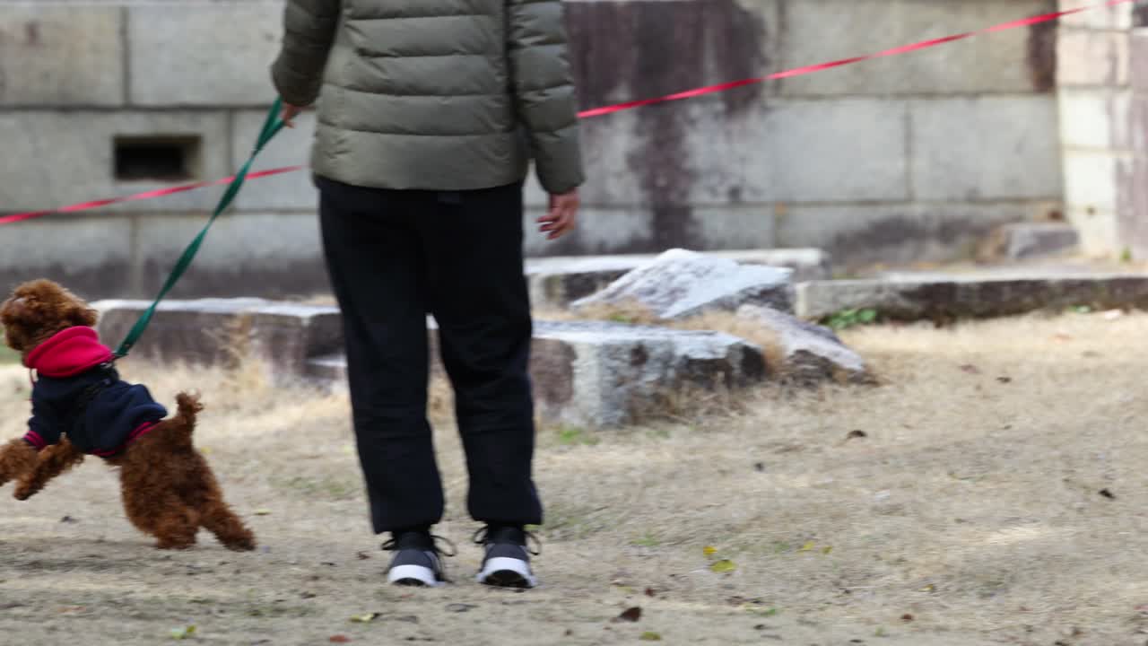 한 사람이 야외에서 개와 함께 가져오기 놀이를 합니다.