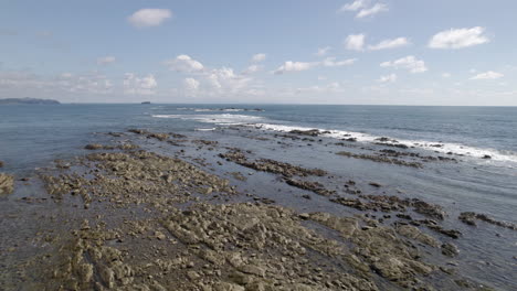 低空飛翔在岩石上方形成的海水中間, 特雷瓦林, 塔斯馬尼亞, 澳洲