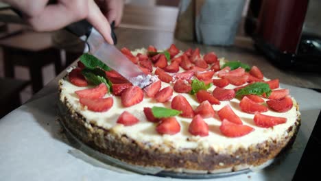 close-up of cutting strawberry cheesecake new york into pieces, close-up, 4k