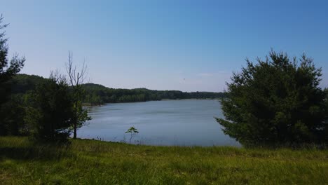 Sommerwetter-In-Schönen-Satten-Farben-In-Einem-Naturschutzgebiet