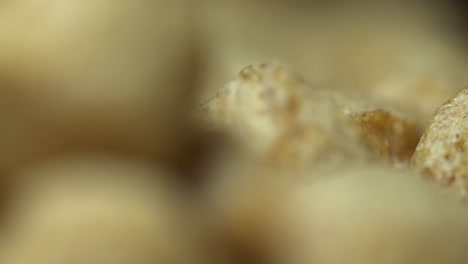 toma macro de comida para mascotas con enfoque de rack extremo aislado llenando el marco