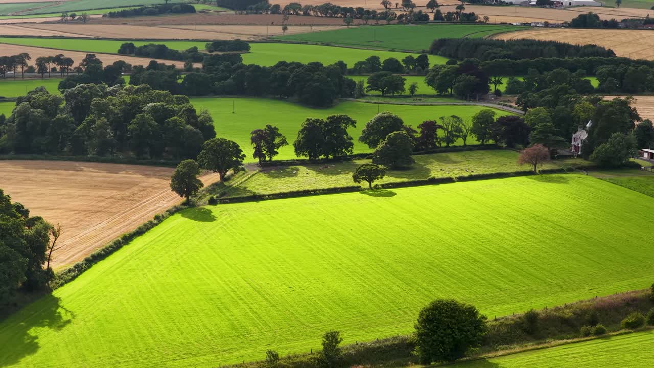 Aerial camera smoothly pans across vibrant green fields and patchwork farmland bordered by trees under dynamic sunlight, capturing rural countryside in summer