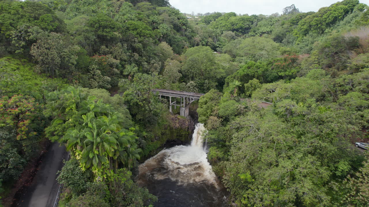 sobrevolar el paisaje tropical, la densa vegetación verde exuberante y la cascada en un pequeño río