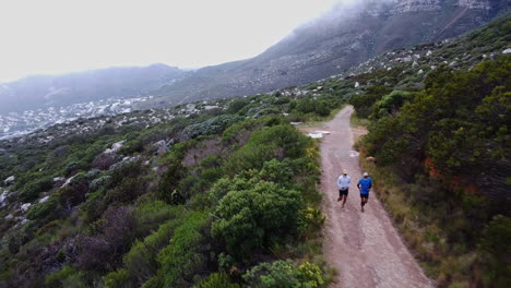 runners on a mountain trail