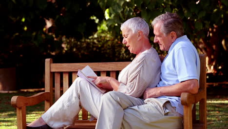 esposa apoyándose en su marido en un banco y leyendo un libro