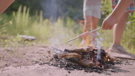 Children-on-a-summer-camp-hike-fry-sausages-on-a-campfire