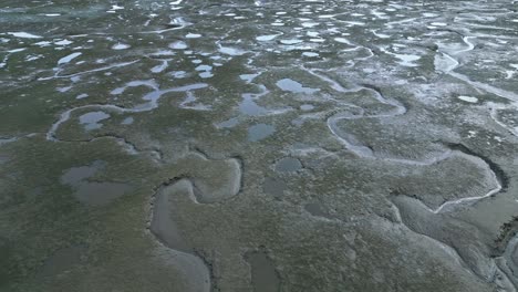 aerial view of river estuaries amidst green woods in wetlands