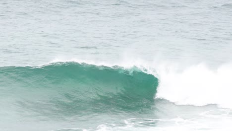 surfers riding waves at bell beach