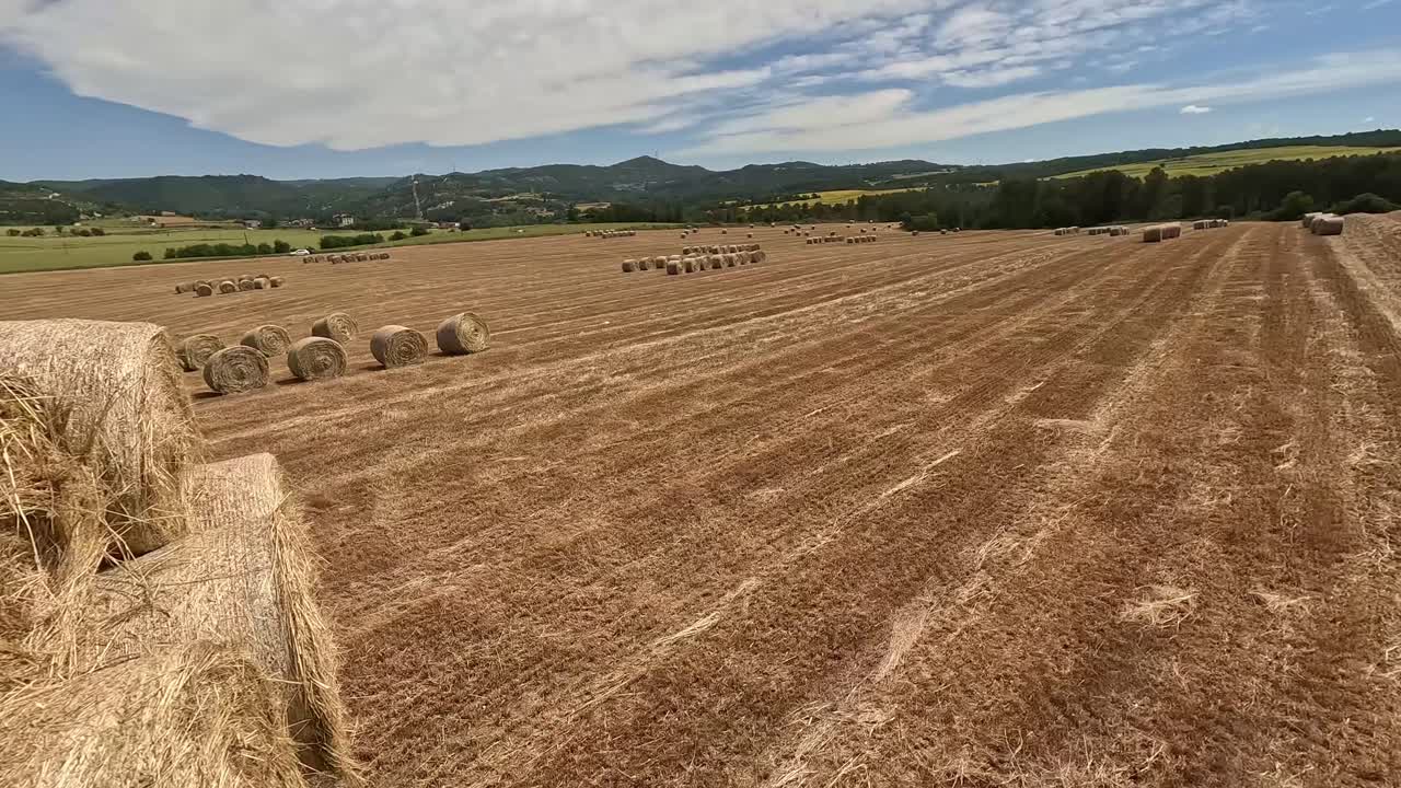 A smooth FPV drone video capturing a picturesque scene of harvested hay bales neatly arranged across a vast field, under a bright blue sky with scattered clouds.