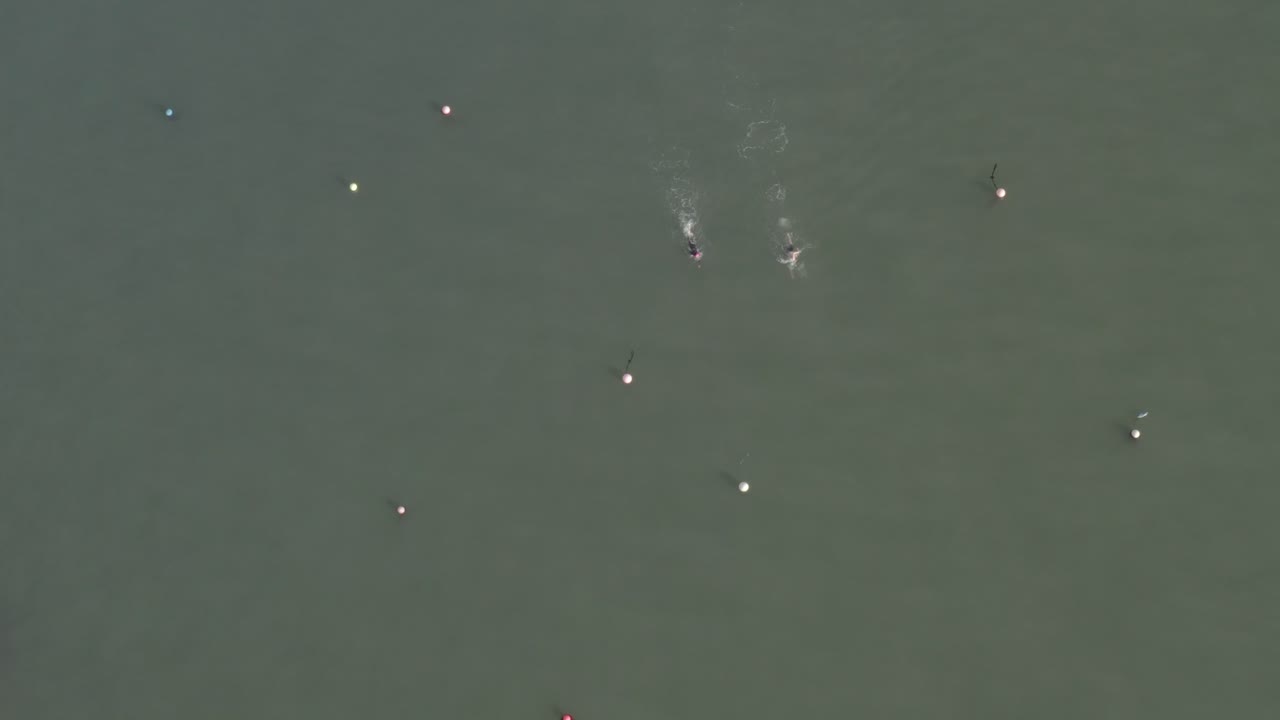 부표 근처의 어두운 녹색 물에서 수영하는 수영 선수의 수직 공중