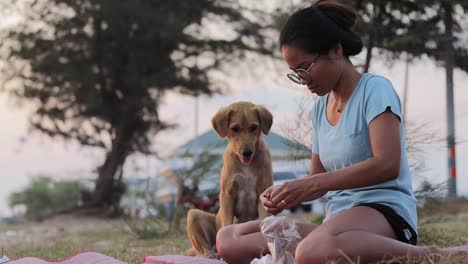 una joven está ayudando a un perro sin hogar mutt dándole carne y huesos de pollo para alimentarlo