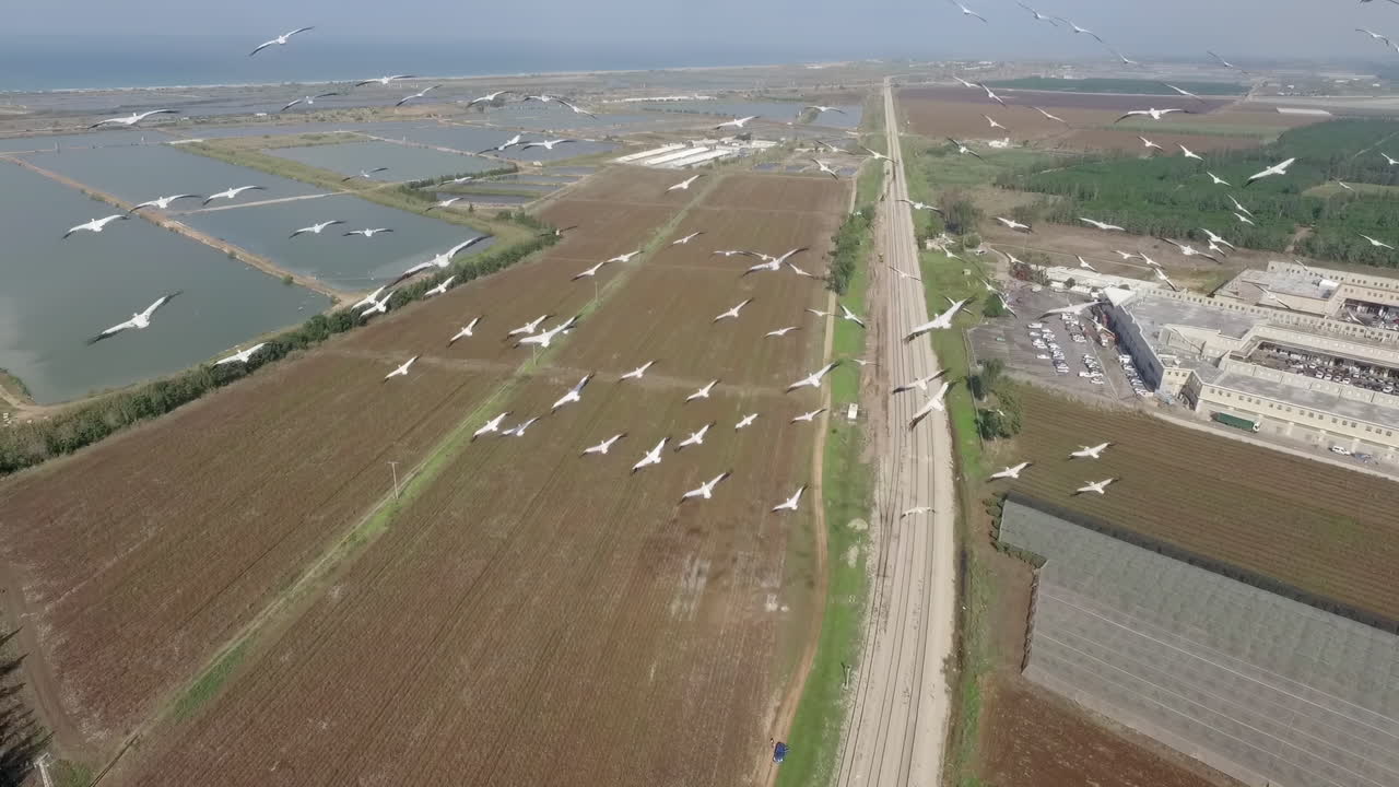 농장 과 새 들 의 공중 사진