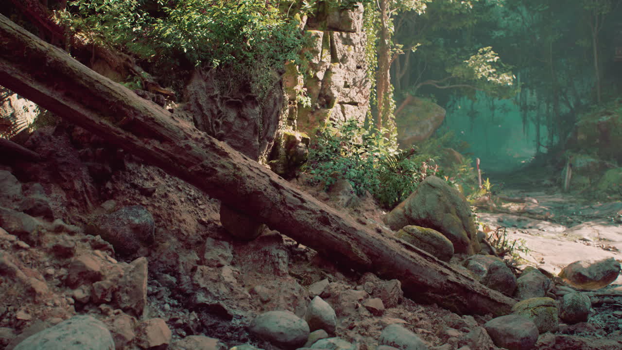 바위 와 나무 가 있는 밀집 한 숲 풍경