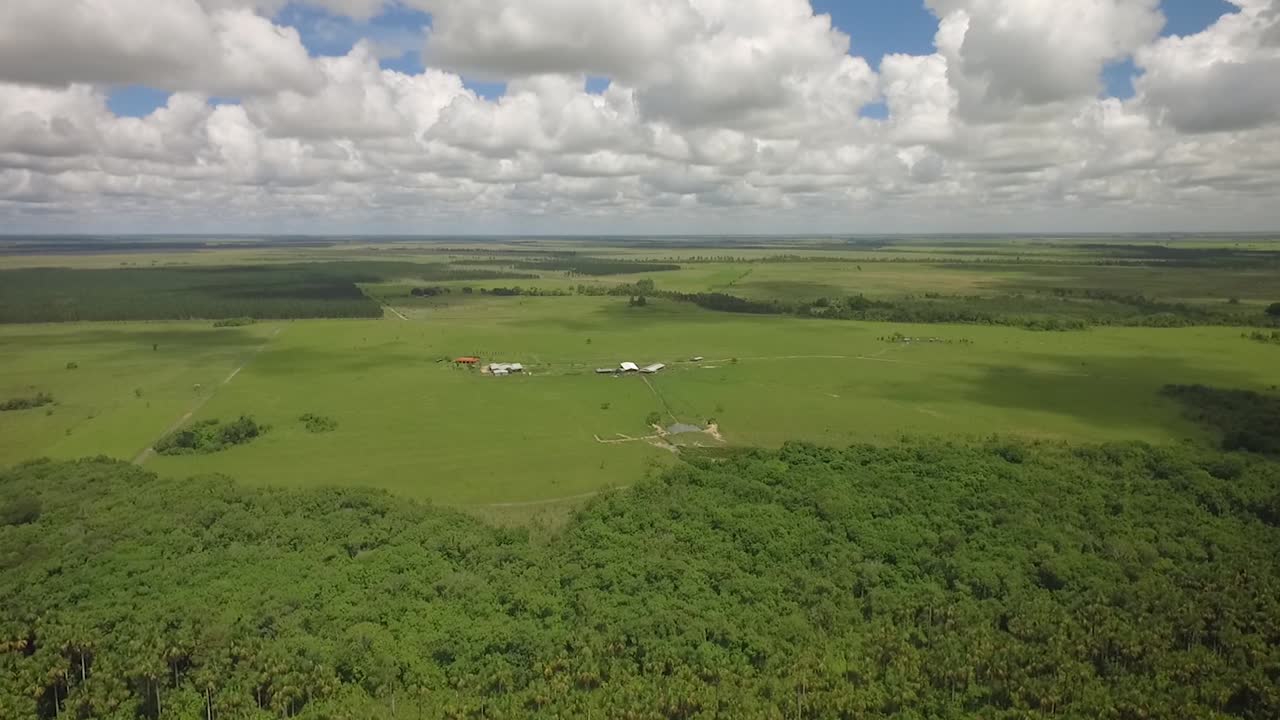 toma de drones de una sabana verde y un grupo de árboles con hermosas nubes en el cielo