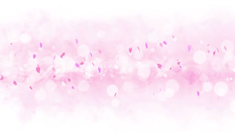 colorful bright petals swinging in spring background with sun flares. beautiful nature scene. illustration cherry blossom petals. abstract spring graphic. loop animation.