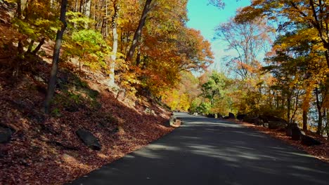 Ein-Niedriger-Blickwinkel-Auf-Eine-Ruhige-Landstraße-Mit-Bunten-Bäumen-Im-Herbst-An-Einem-Sonnigen-Morgen