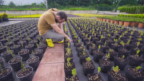 Gewächshausarbeiter-Kümmert-Sich-Um-Blumen.