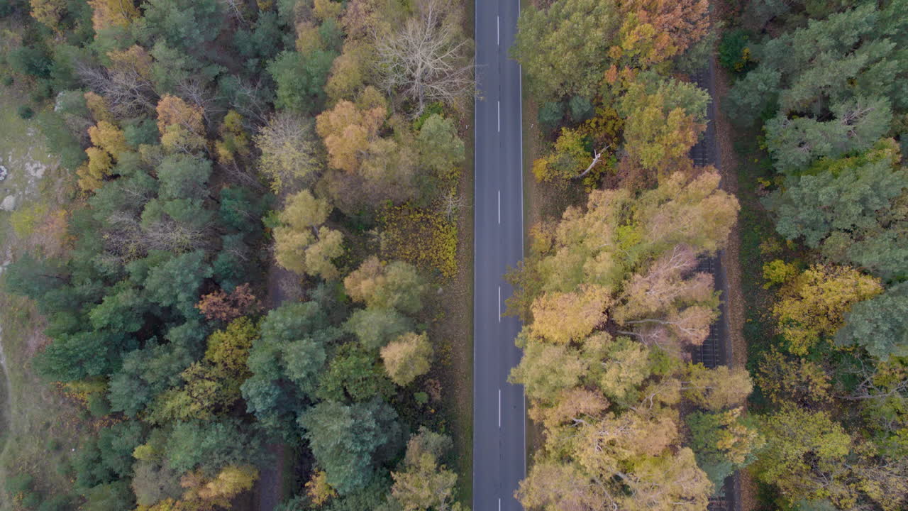 Vista dall'alto con drone di una strada attraverso la foresta autunnale