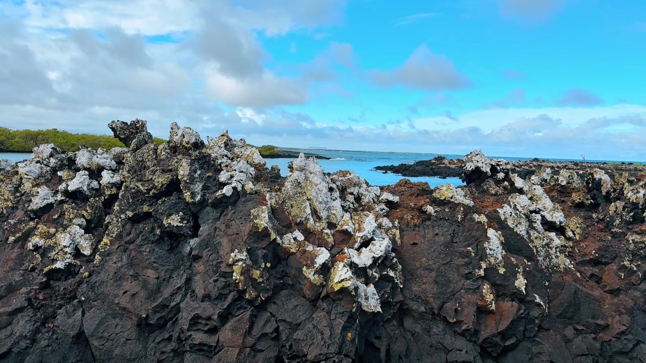 Formazioni laviche costiere con vista sull'oceano, Las Tintoreras, Galapagos. Roccia nera frastagliata con depositi di licheni bianchi contro cielo e mare blu