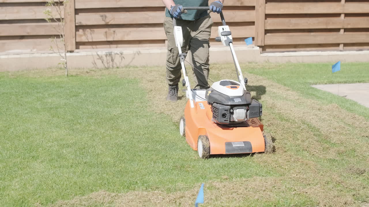 Man Aerating and Scarifying a Lawn in a Backyard
