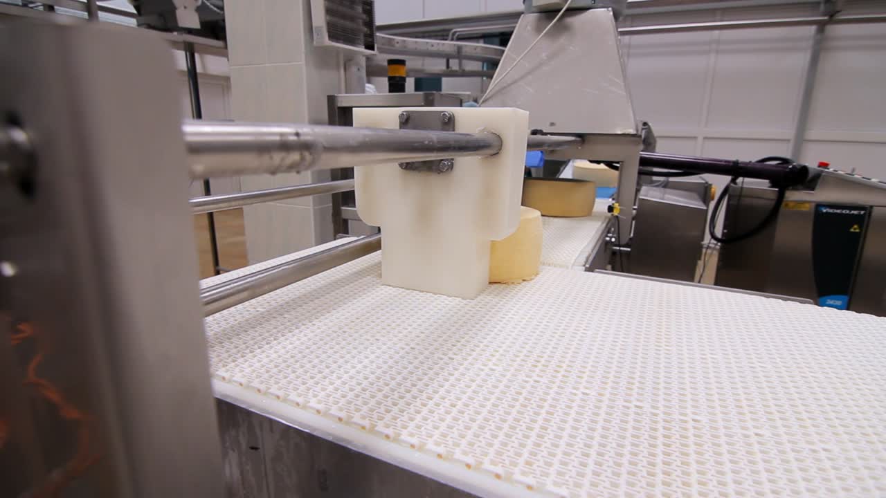 proceso automático de producción de queso. rondas de queso en cinta transportadora