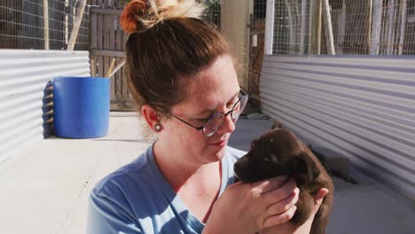 dog in a shelter with volunteer