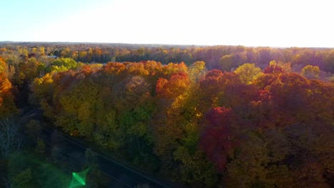 sunset landscape shining on the leaves of the forest trees with autumnal tones