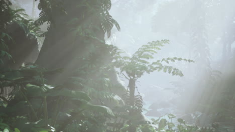 misty jungle scene