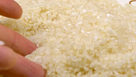 human hand taking pinch of raw rice