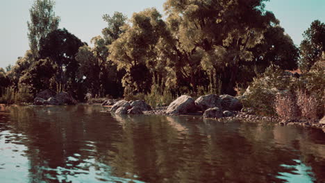 serene riverside setting with lush greenery and rocks during daylight hours
