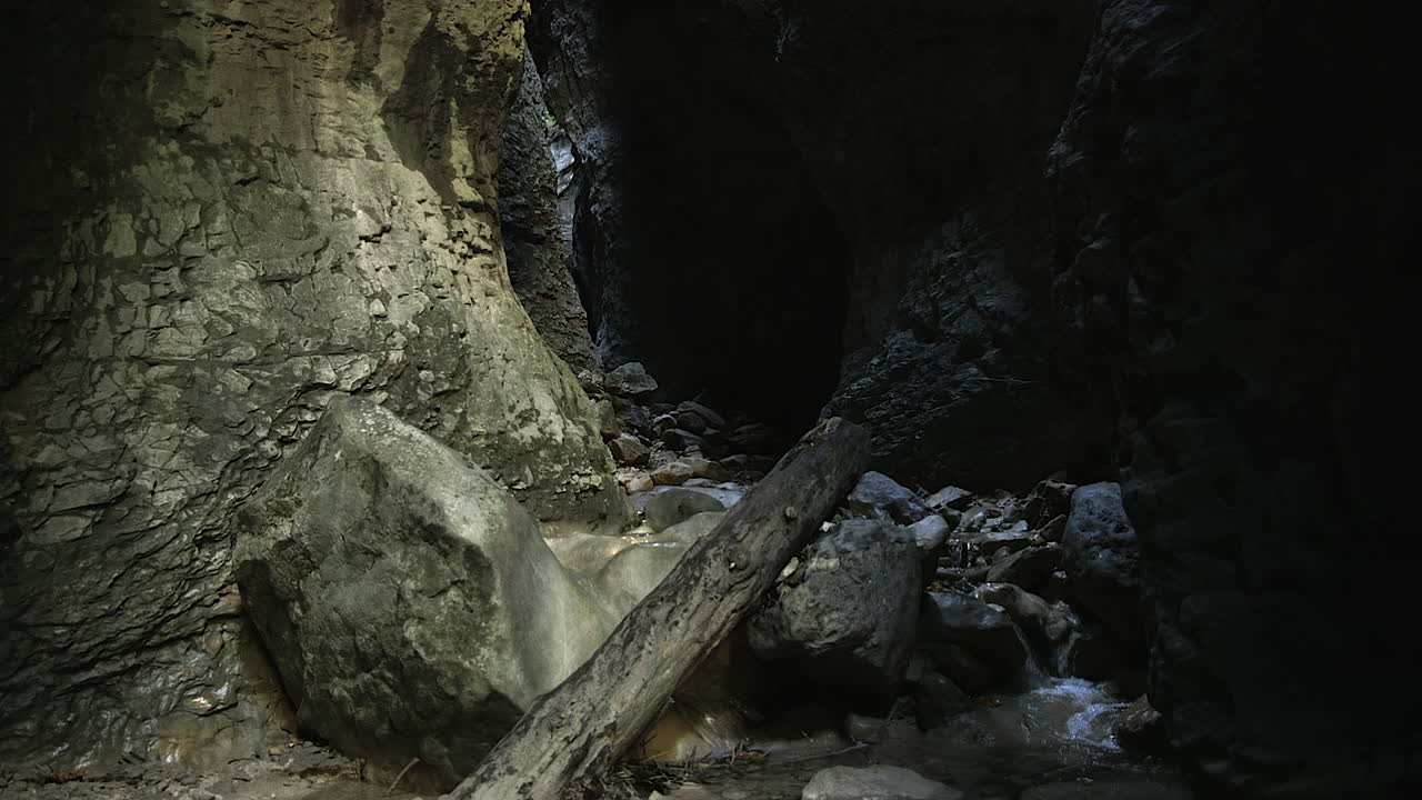 Stranded tree trunk in a water stream at the bottom of a narrow deep canyon