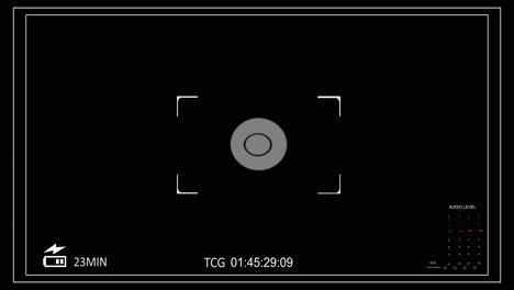 Camera Recording View