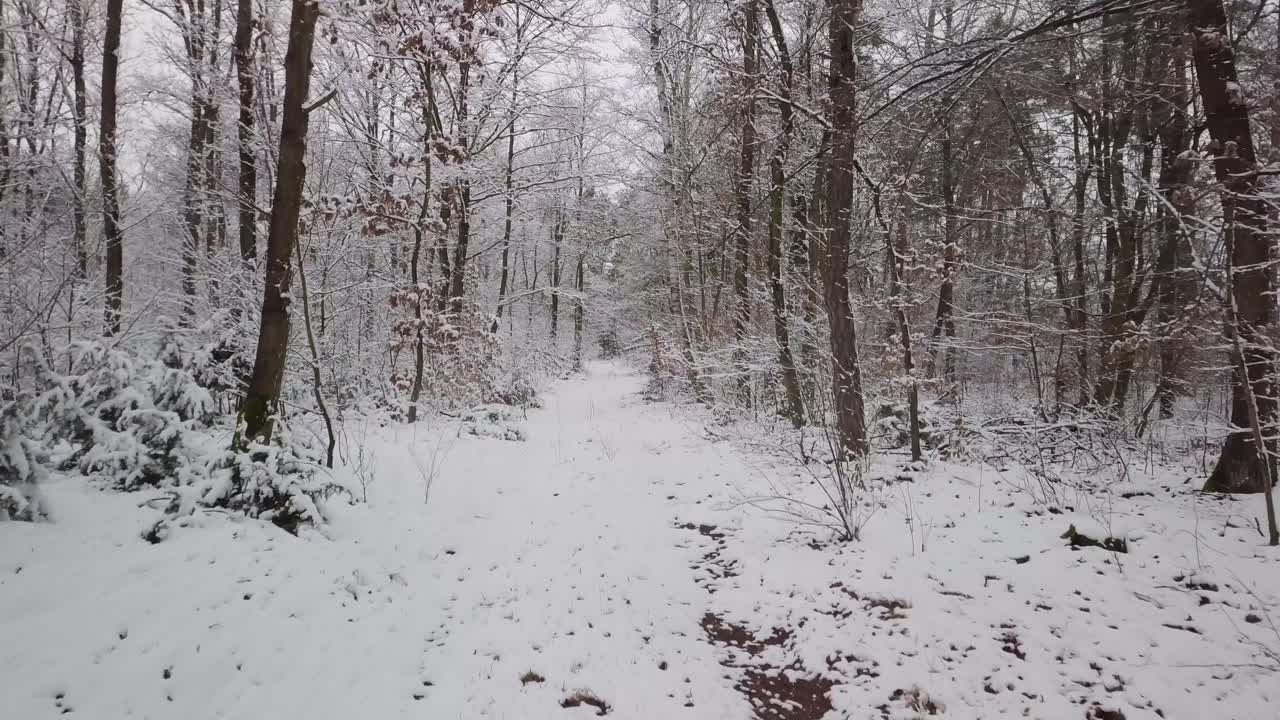 겨울철 폭설 후 하얀 눈 겨울 풍경 놀라운 자연 숲에서 혼자 걷는 외로운 사람의 pov