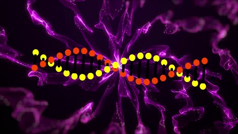 animación de la cadena de adn sobre las formas
