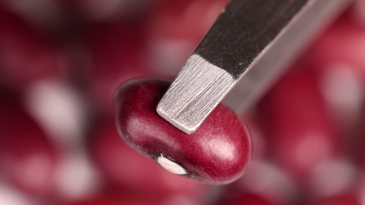 Detailed view of tweezers holding a red bean with a blurred background, highlighting texture and focus.