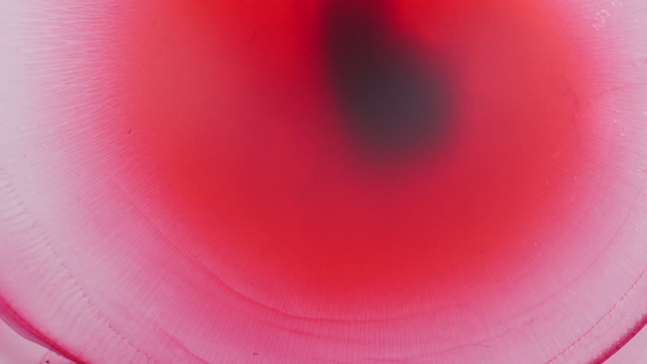 Red color ink spreading forming shimmering galaxy. Macro view
