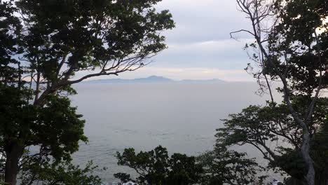 Sea-water-background,-distant-horizon,-wilderness-woodland,-dark-branches