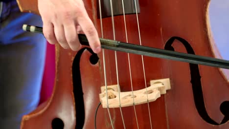 men is playing double bass with bow. close up.