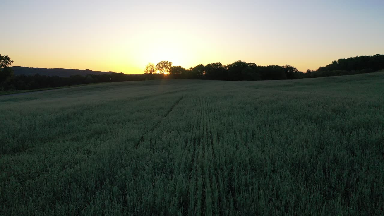 小麦畑の上で夕暮れ