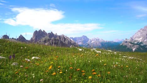 national nature park tre cime in the dolomites alps. beautiful nature of italy.