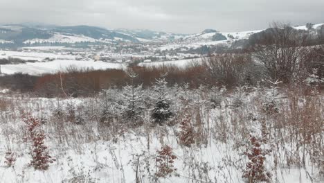 Aerial-forward-through-winter-shrub-and-trees-with-town-and-mountains-in-background