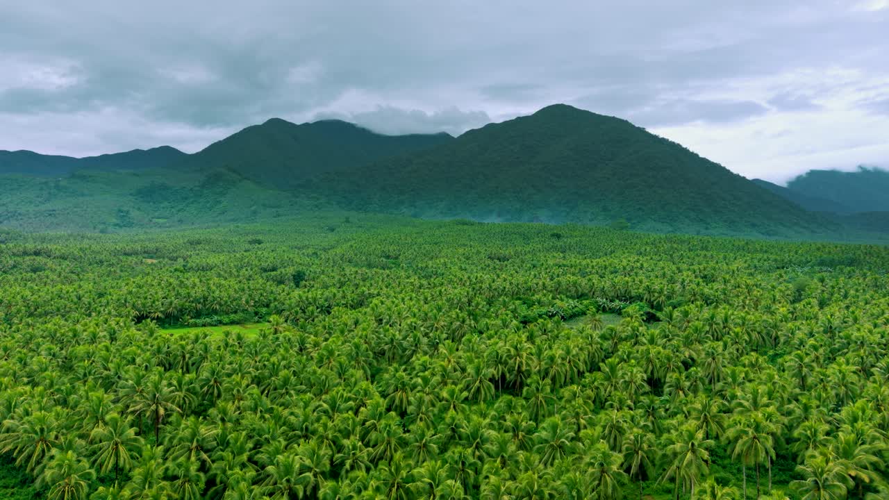 A wide 4K aerial shot showcasing an expansive green jungle canopy and rolling mountain backdrop. Ideal for content related to ecology, conservation, eco-tourism, and tropical destinations
