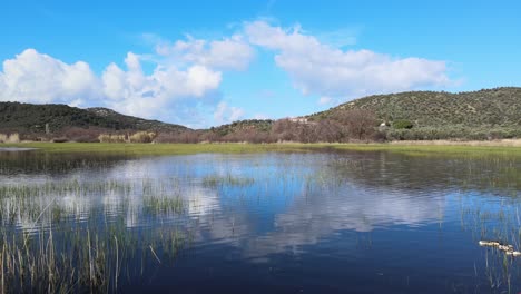 the wetlands near charamida,lesvos,greece