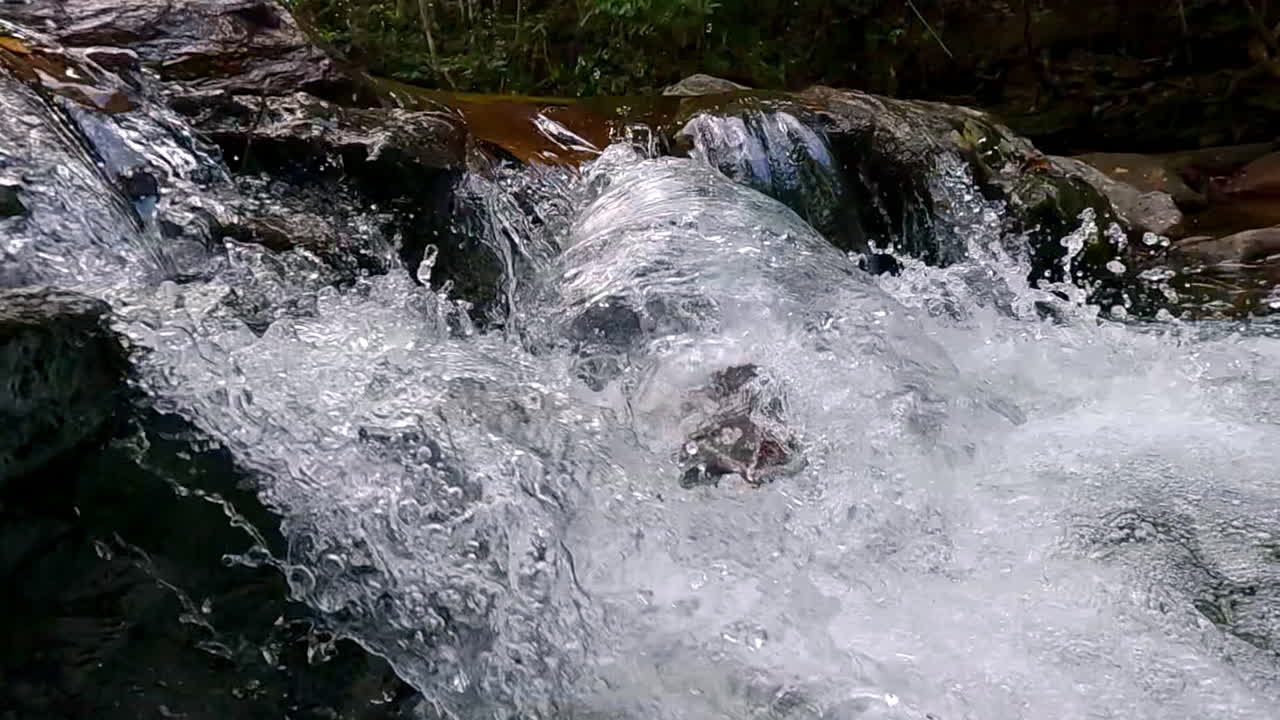 Slow motion close-up of crystal-clear stream water flowing over rocks in a lush forest, showcasing the purity and dynamic movement of nature in a tranquil outdoor setting