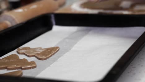 caucasian woman placing tree shaped gingerbread cookies into a baking tray