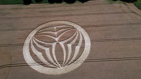 Warminster-crop-circle-2023-flyover-aerial-view-above-strange-overnight-geometric-alien-pattern-on-agricultural-field-in-England