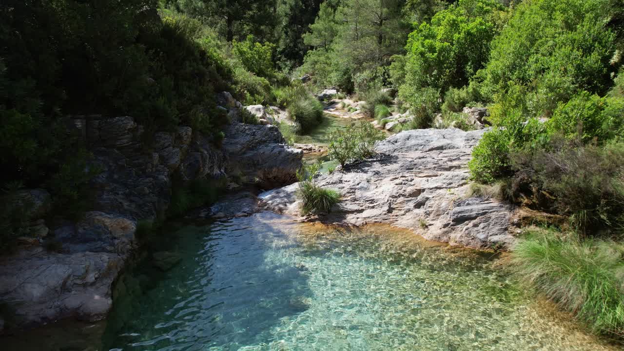 다채로운 녹색 물이 있는 강