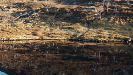 the still mirrorlike surface of the lake reflects the stark northern landscape