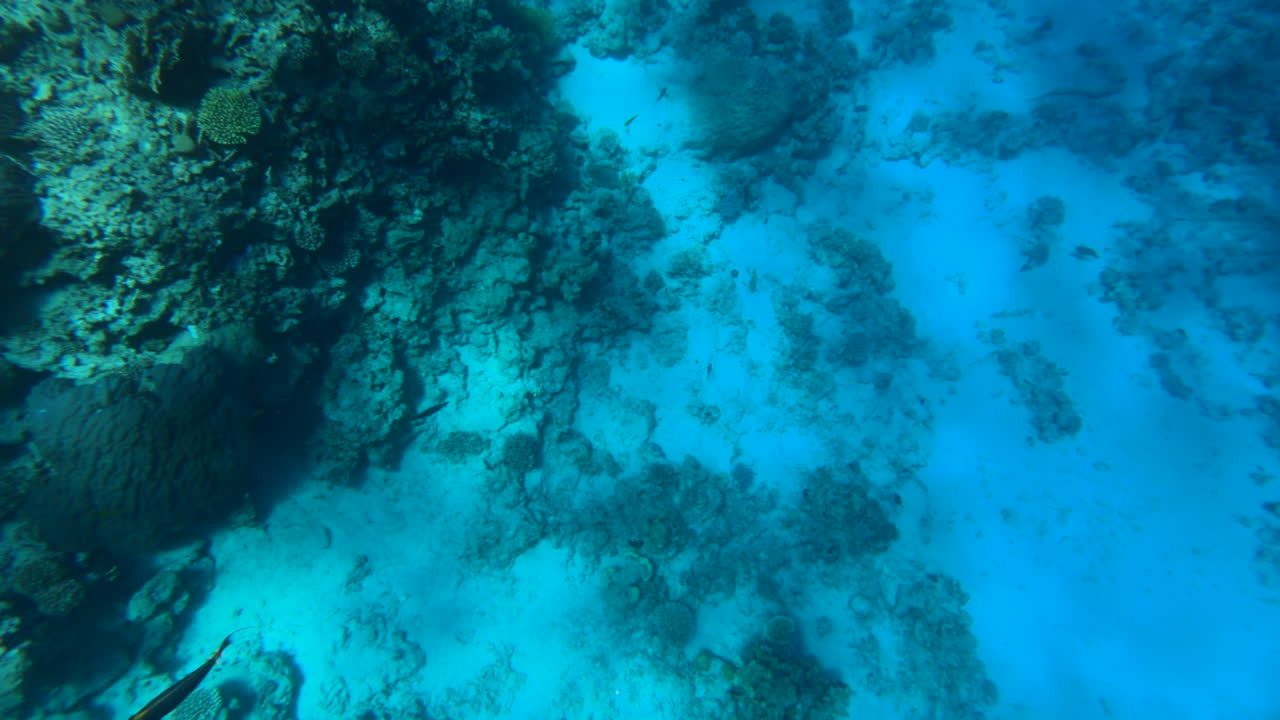 The waves of the red sea seen from underwater