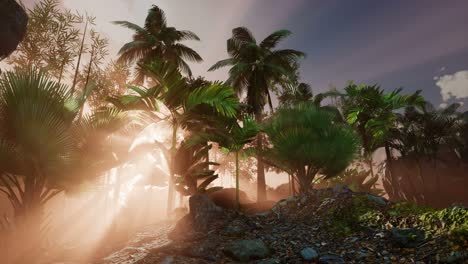 Sunset-Beams-through-Palm-Trees